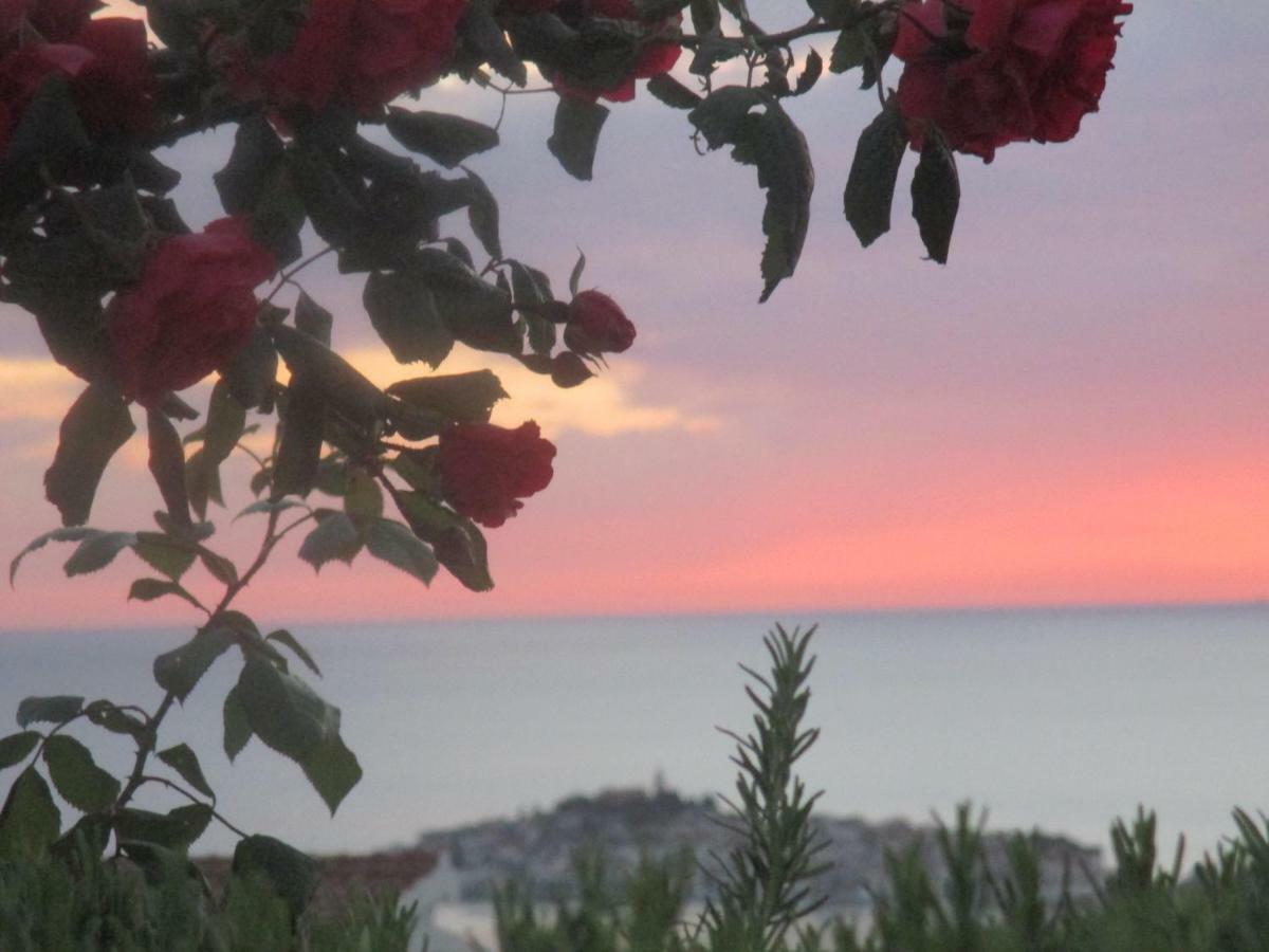 Apartment Santa Marina Primošten Екстериор снимка